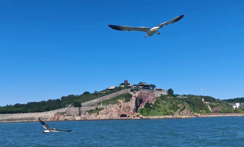j9.com真人游戏第一品牌踏海之旅