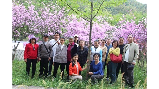 j9.com真人游戏第一品牌自动化九华山之旅配图